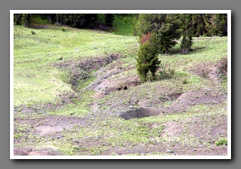 [Click to enlarge image]