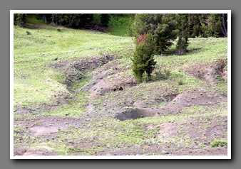 [Click to enlarge image]