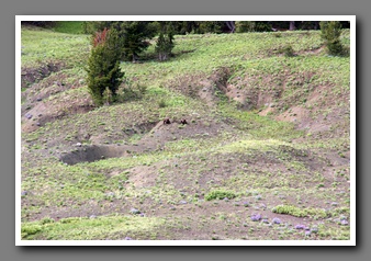 [Click to enlarge image]