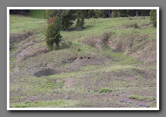 [Click to enlarge image]