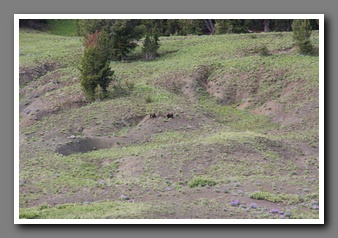 [Click to enlarge image]