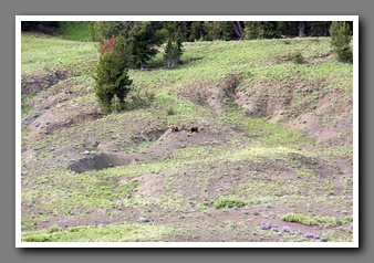 [Click to enlarge image]