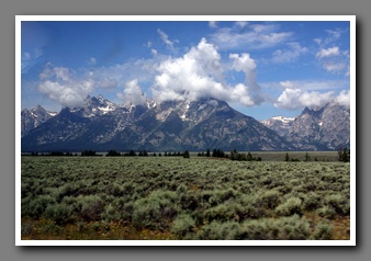 [Click to enlarge image]