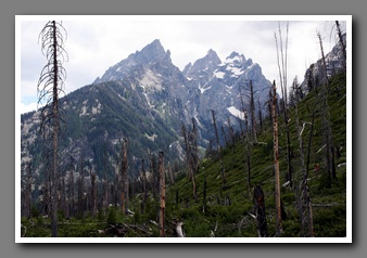 [Click to enlarge image]