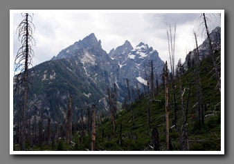 [Click to enlarge image]