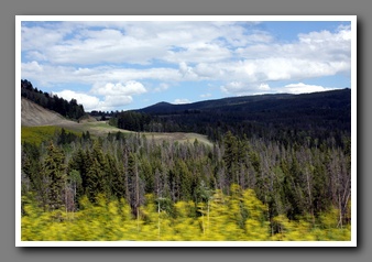 [Click to enlarge image]