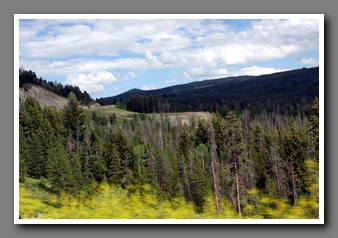 [Click to enlarge image]