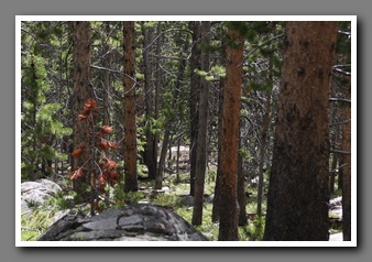 [Click to enlarge image]