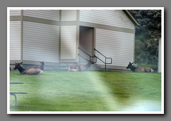 [Click to enlarge image]