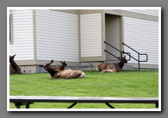 [Click to enlarge image]