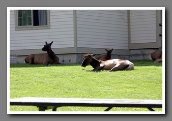 [Click to enlarge image]