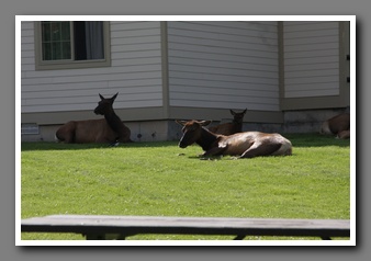 [Click to enlarge image]