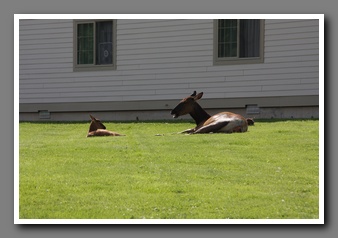 [Click to enlarge image]