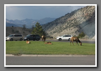 [Click to enlarge image]