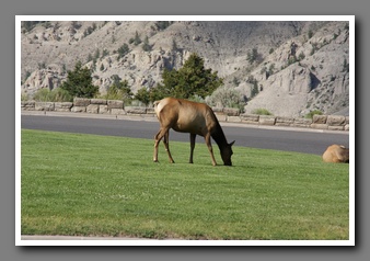 [Click to enlarge image]