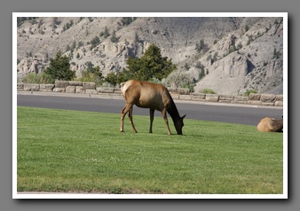 [Click to enlarge image]