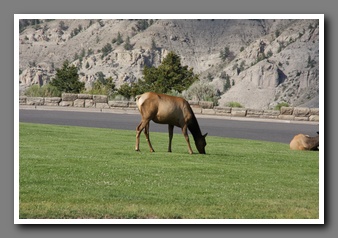 [Click to enlarge image]