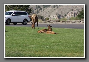 [Click to enlarge image]