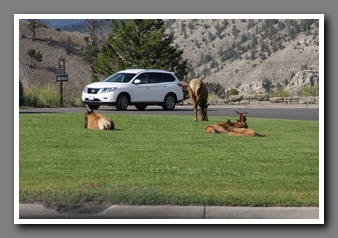 [Click to enlarge image]