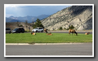 [Click to enlarge image]