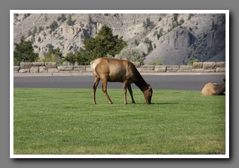 [Click to enlarge image]