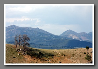 [Click to enlarge image]