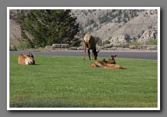 [Click to enlarge image]