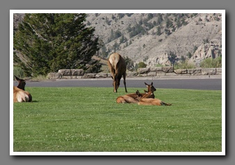 [Click to enlarge image]