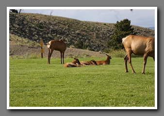 [Click to enlarge image]