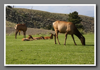 [Click to enlarge image]