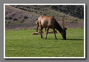 [Click to enlarge image]