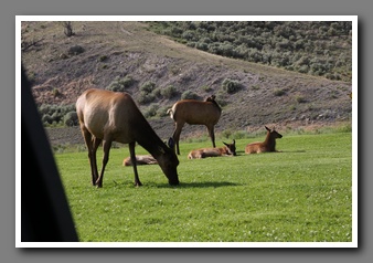 [Click to enlarge image]