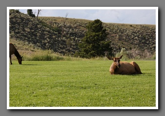 [Click to enlarge image]