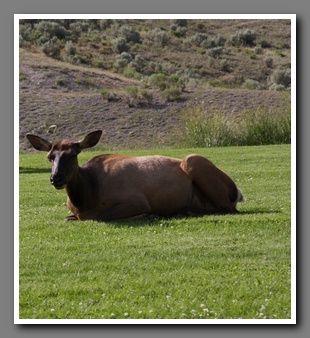 [Click to enlarge image]