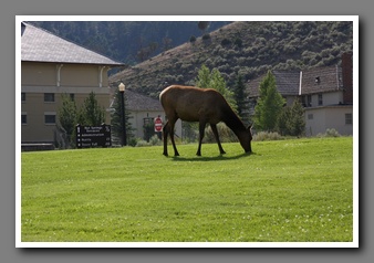 [Click to enlarge image]