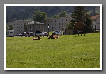 [Click to enlarge image]