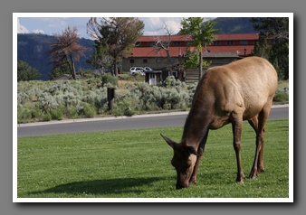 [Click to enlarge image]