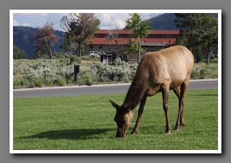 [Click to enlarge image]