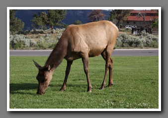 [Click to enlarge image]