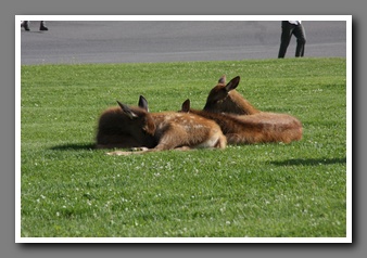 [Click to enlarge image]