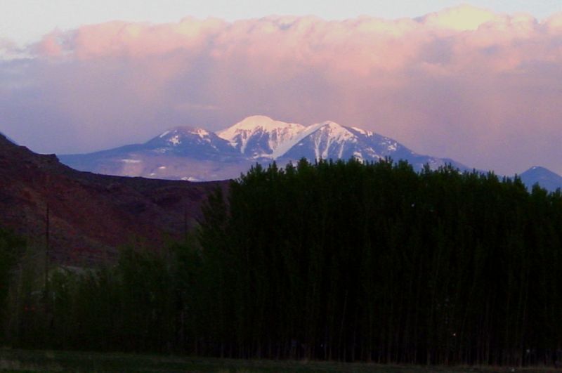 DSC02101