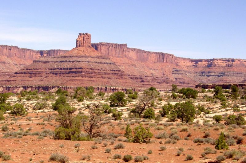 DSC02155
