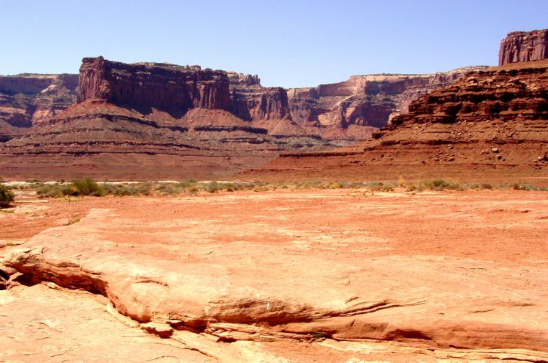 DSC02217