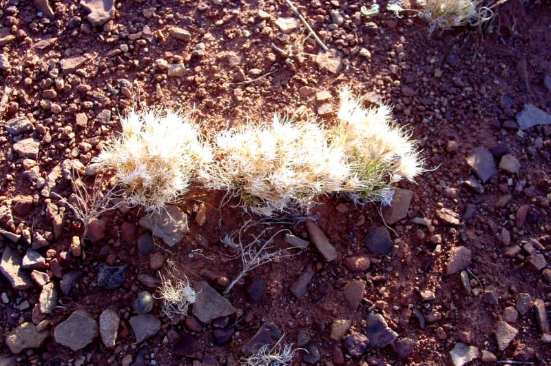 DSC02303