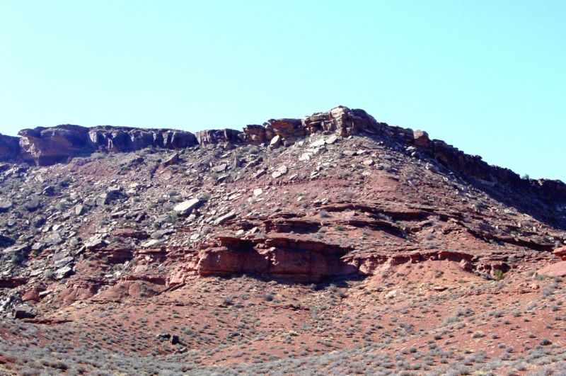 DSC02542