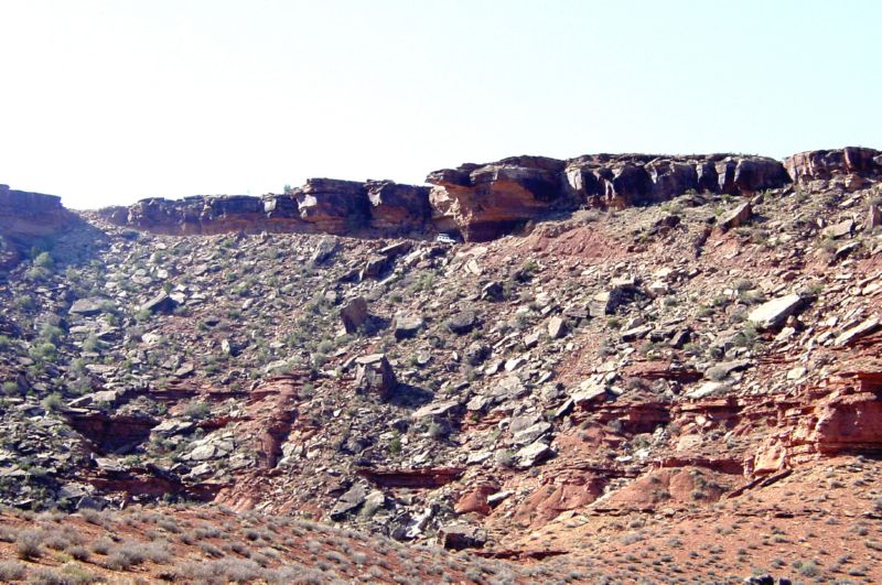 DSC02546